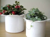 Crazy Cute Ceramics Image 8