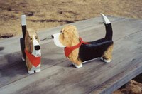 Doghouse Bed & Breakfasts Image 4