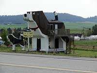 Doghouse Bed & Breakfasts Image 7