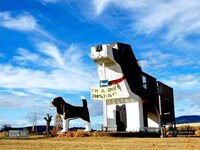 Doghouse Bed & Breakfasts Image 8