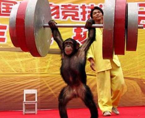 15 Odd Olympic Games