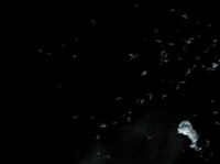 Beer Cooler Satellites Image 5