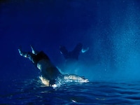 Hands-Free Swirlies Image 5