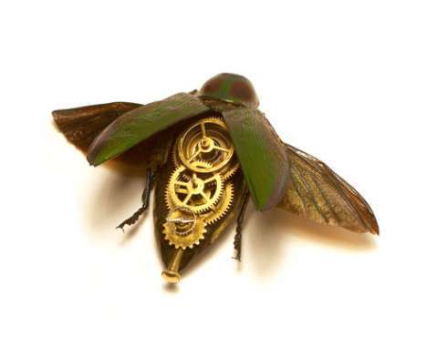 22 Steampunk & Cyborg Insects