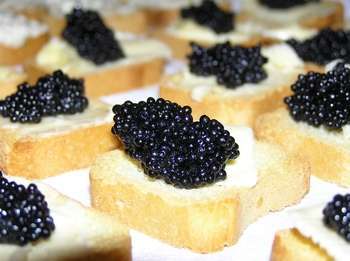 43 Gourmet Goodies