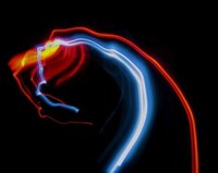 Neon Smoke Art Image 5