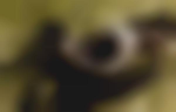 Boudoir Fieldtography
