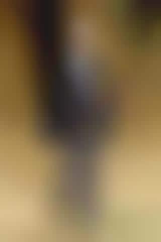 Couture Barnyard Backdrops