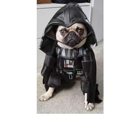 39 Crazy Canine Costumes