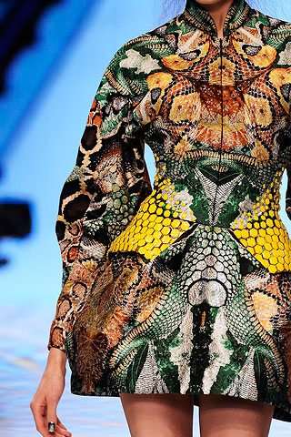 Darwinian Catwalks 