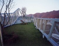Eco-Island Homes Image 7
