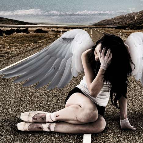 Fallen Angel Photography