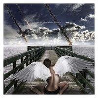 Fallen Angel Photography Image 2