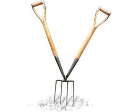 17 Fantasic Forks