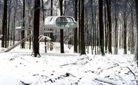 Tremendous Treehouses Image 2