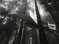 Tremendous Treehouses Image 4