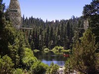 Tremendous Treehouses Image 5