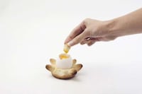 Worldly Culinary Presentations Image 6
