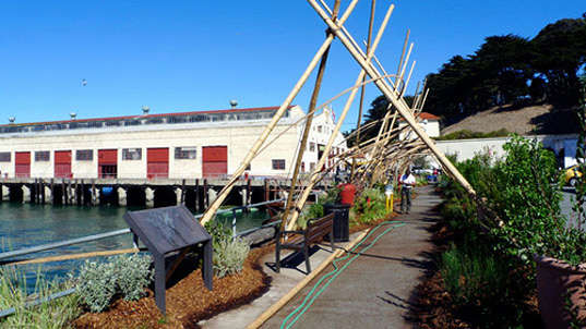 Bamboo Biofilter Teepees