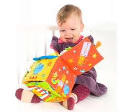 Baby Toy Rentals