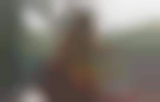 Super-Sized Puppet Shows