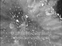 Slow-Motion Destruction Image 8