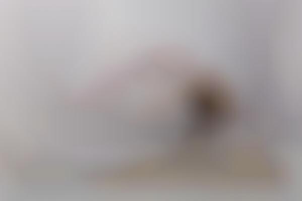 Sweet Dreamography