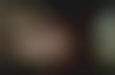 Free Viral Videos