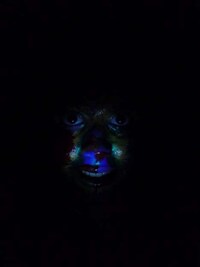 Spotlit Body Paint Image 3