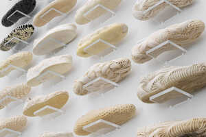 Biodegradable PHA Shoes Article Thubnail