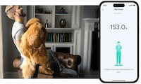 Multifunctional Home Smart Scales Image 3
