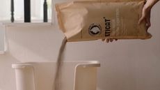 Coffee Waste Cat Products Article Thubnail