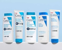 Affordable Anti-Dandruff Systems Image 1