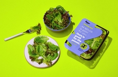 Hybrid Blend Salad Packs