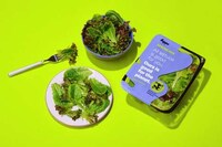 Hybrid Blend Salad Packs Image 1