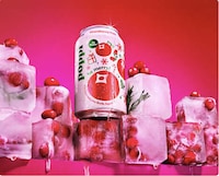 Seasonal Prebiotic Sodas Image 2