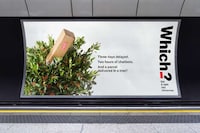 Empowering Consumer-Centric Campaigns Image 1