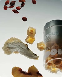 Dual-Layer Mushroom Gummies Image 3