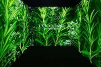Botanical Lab Beauty Stores Image 3