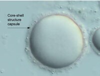 Surfactant-Free Formulation Solutions Image 3
