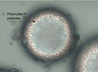 Surfactant-Free Formulation Solutions Image 4