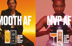 Alcohol Alternative Campaigns