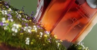 Regenerative Whisky Concepts Image 2