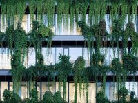 Draped Plant-Design Shopping Centers Image 4