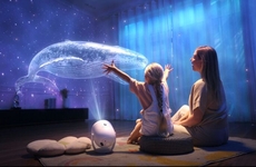 Immersive Holographic Projectors