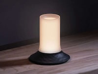 Naturally Inspired Digital Candles Image 6
