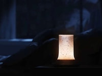 Naturally Inspired Digital Candles Image 7