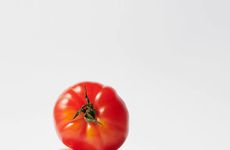 Hydrating Wild Tomato-Inspired Creams