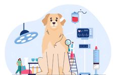 Digital Canine Blood Registries