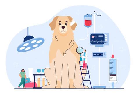 Digital Canine Blood Registries